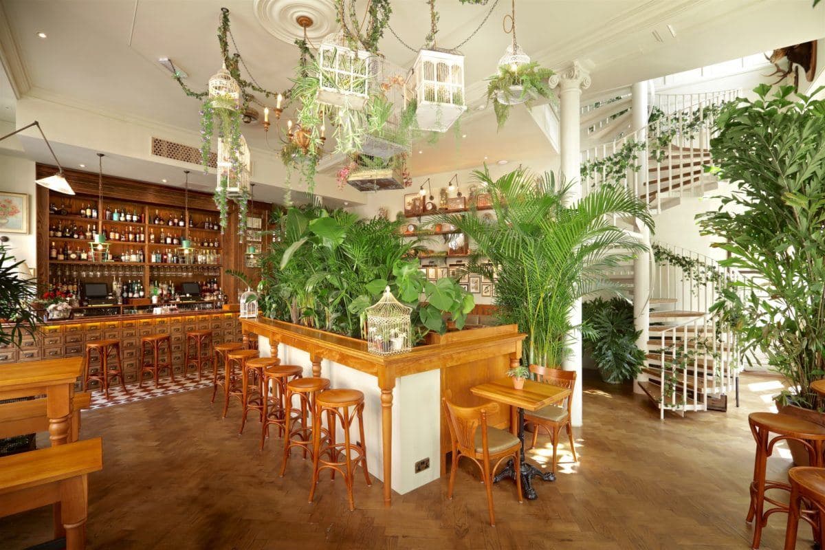 Mr Fogg's House of Botanicals, photo 5