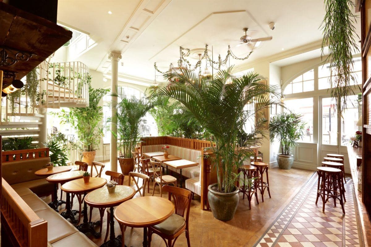 Mr Fogg's House of Botanicals, photo 6