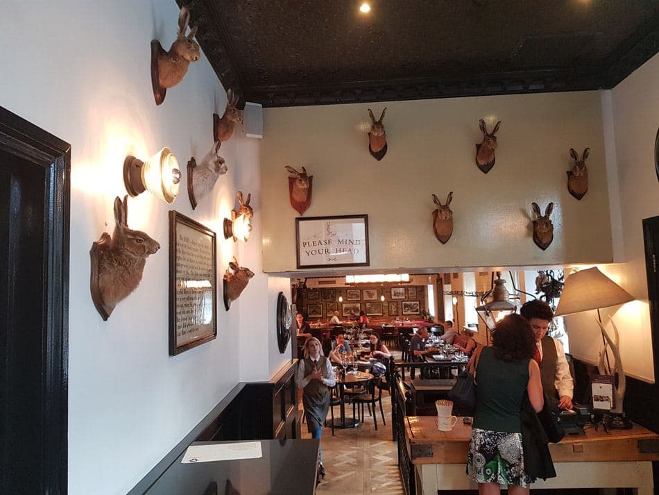The Jugged Hare, photo 2