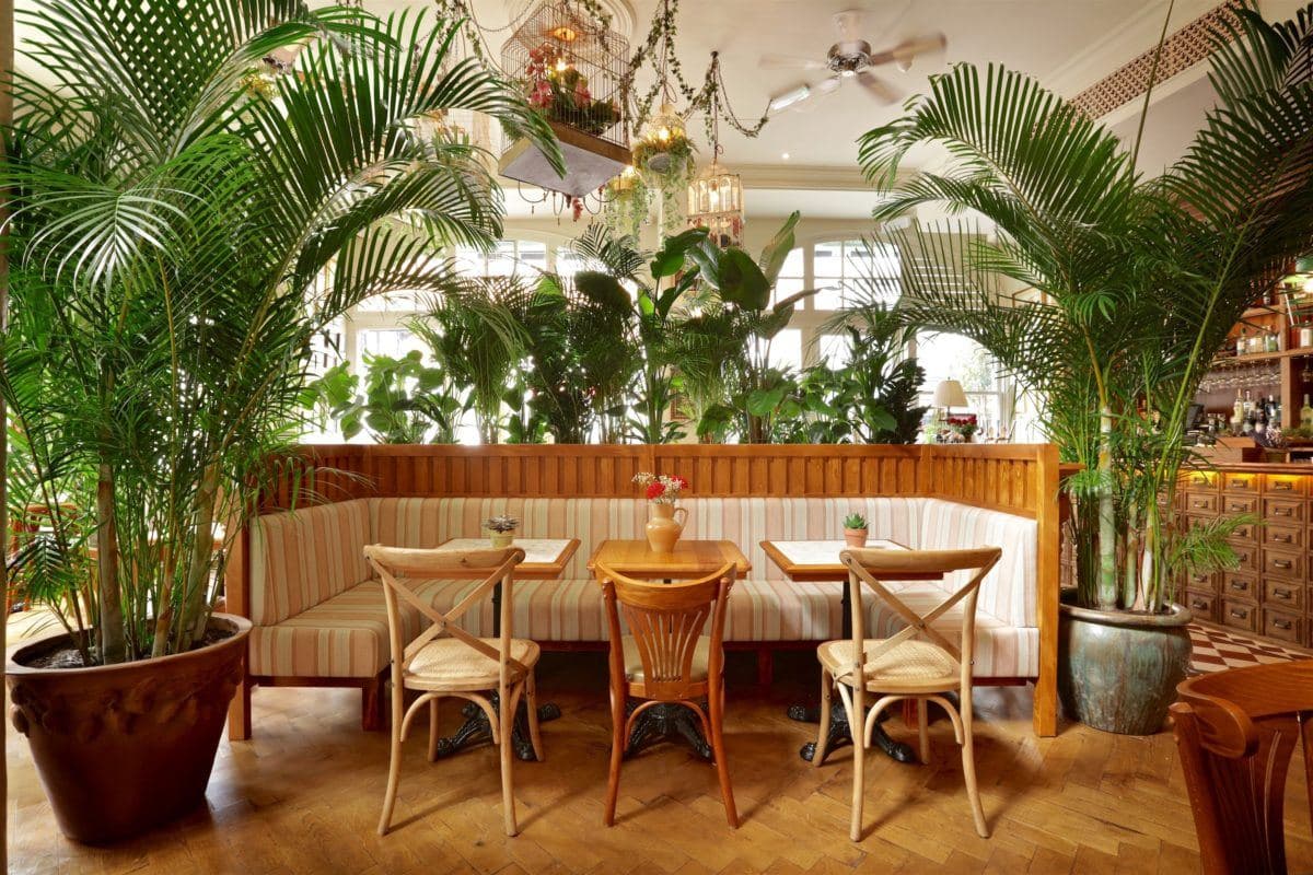 Mr Fogg's House of Botanicals, photo 10
