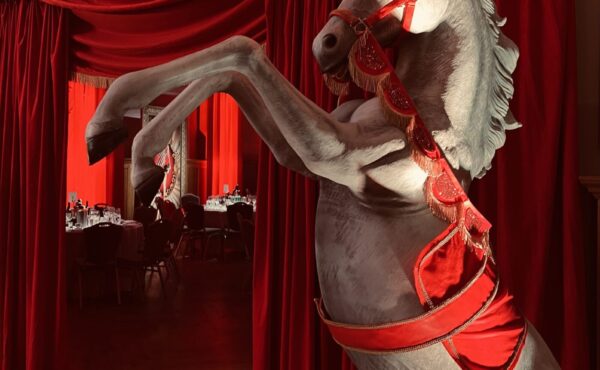 Circus-Theming-2-002-scaled-1.jpg