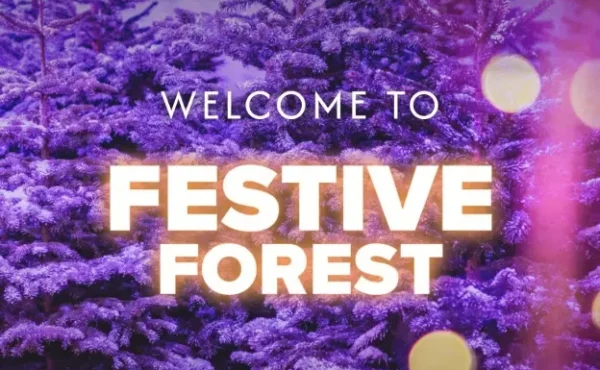 Home 112 Eureka-Events-Ltd_festivejpg_1750259983-1.jpg-1.webp