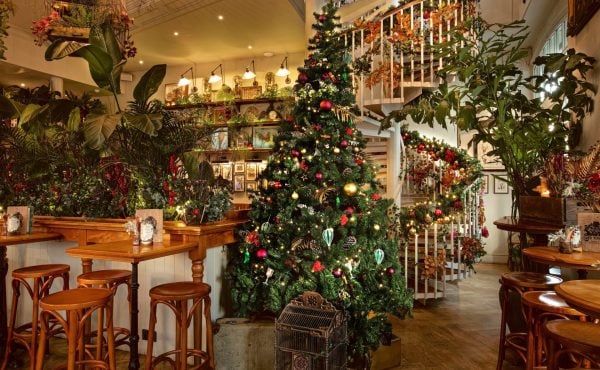 Mr Foggs House of Botanicals London Christmas Party Venue