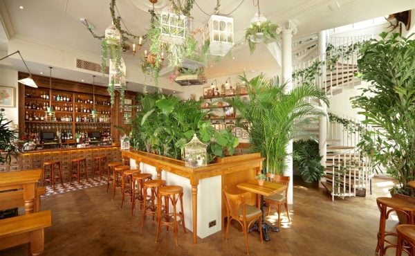Mr Foggs House of Botanicals London Christmas Party Venue
