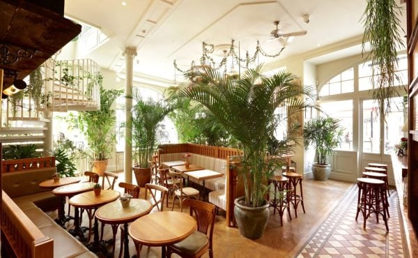 Mr Foggs House of Botanicals London Christmas Party Venue