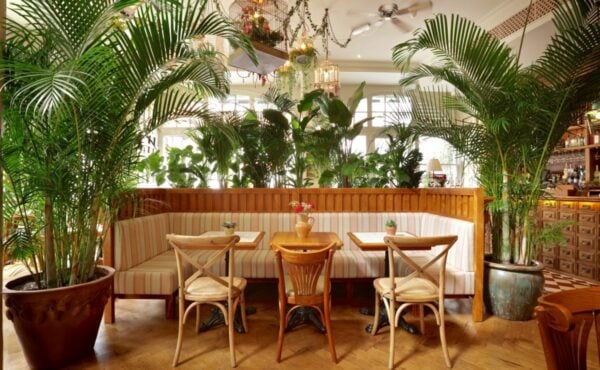Mr-Foggs-House-of-Botanicals-London-Christmas-Party-Venue-8.jpg